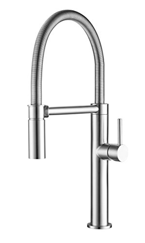 Franke FFPD4450 Pescara Single Handle Pull Magnetic Sprayer Dock, 16.5 inch Ultra-Tall high arc Kitchen Faucet, Stainless