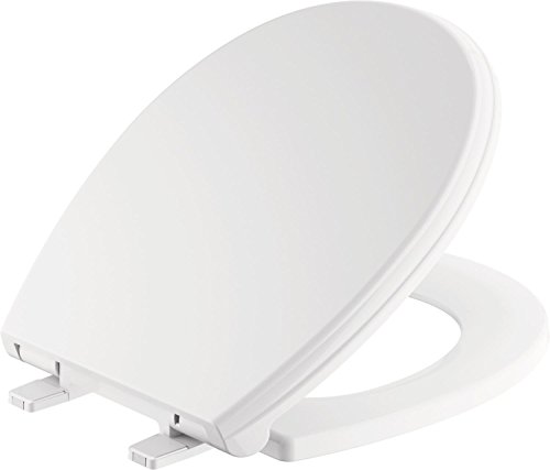 Delta Faucet 801901-WH Wycliffe Round Front Slow-Close Toilet Seat with Non-slip Seat Bumpers, White