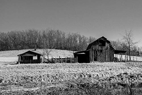 Southern Plains Photography Country Farmhouse Wall Decor Black and White Art Print of Rustic Barn and Pen in Arkansas. Unframed Farm Photo Picture
