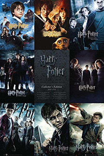Poster Harry Potter-Collection 24 x 36in