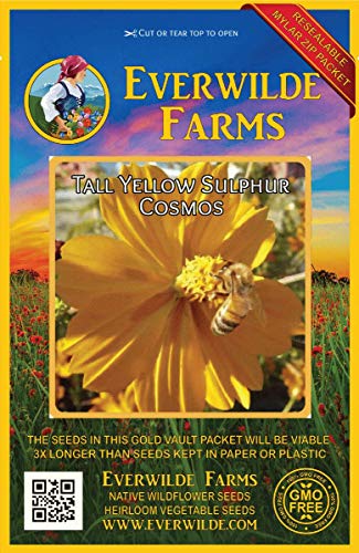 Everwilde Farms - 1 Oz Tall Yellow Cosmos Wildflower Seeds - Gold Vault