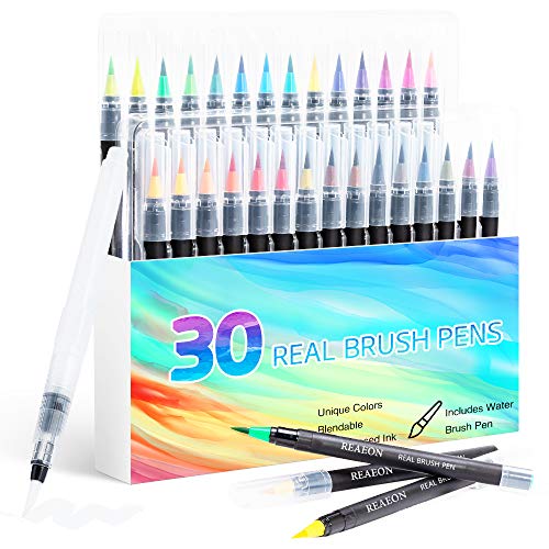 Reaeon Watercolor Brush Pens, Real Brush Pen, 30 Watercolor Painting Markers with Flexible Nylon Brush Tips for Coloring,