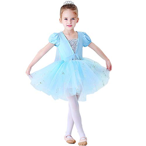 Dressy Daisy Girls' Princess Ballet Tutus Dress Dancewear Dance Fancy Costume 5-6 Blue 072