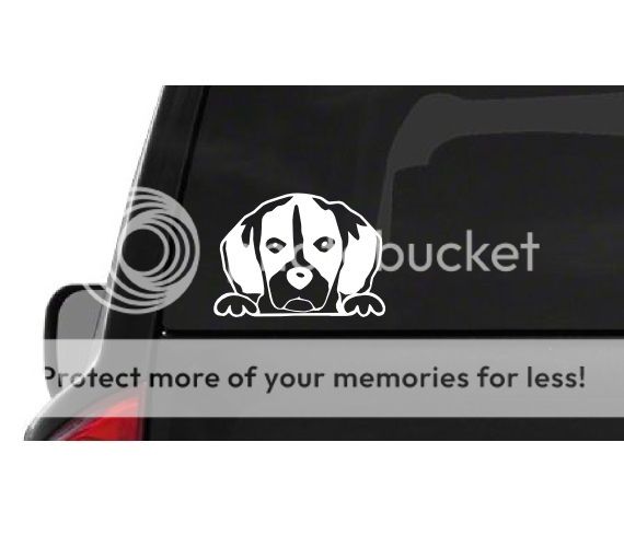 Customdecal Us Peeking Beagle A26 Vinyl Decal Sticker Car Truck Laptop Netbook Window
