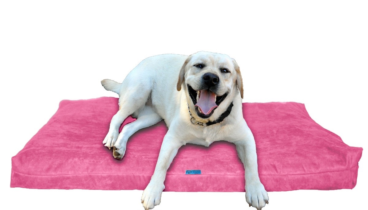 Five Diamond Collection Shredded Memory Foam Orthopedic Dog Bed, Made In USA (Pink,For Large Breed Dogs, 40" x 35")
