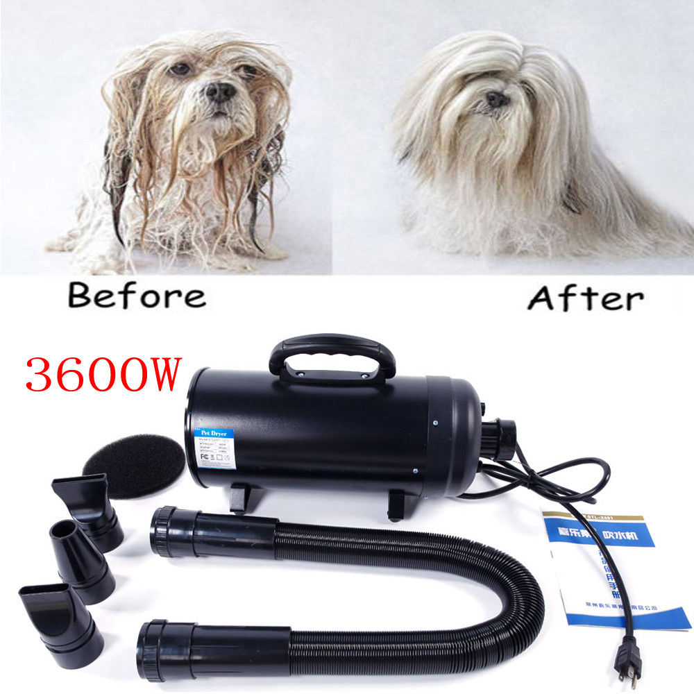 winado 3600w portable dog