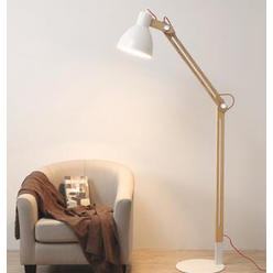 Behind Couch Lamp