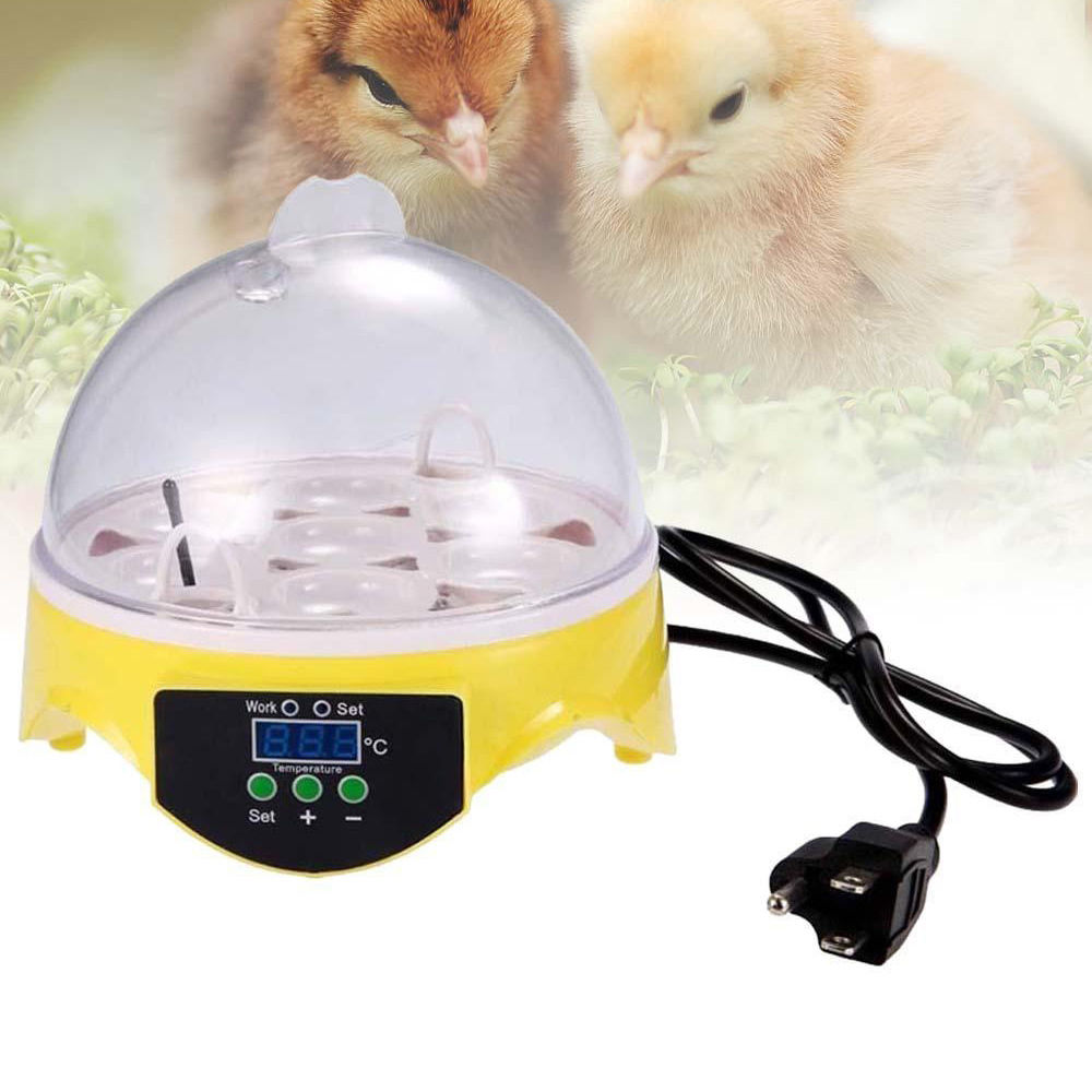 Winado Mini 7 Egg Incubator Poultry Bird Pet Hatcher Clear Temperature Control