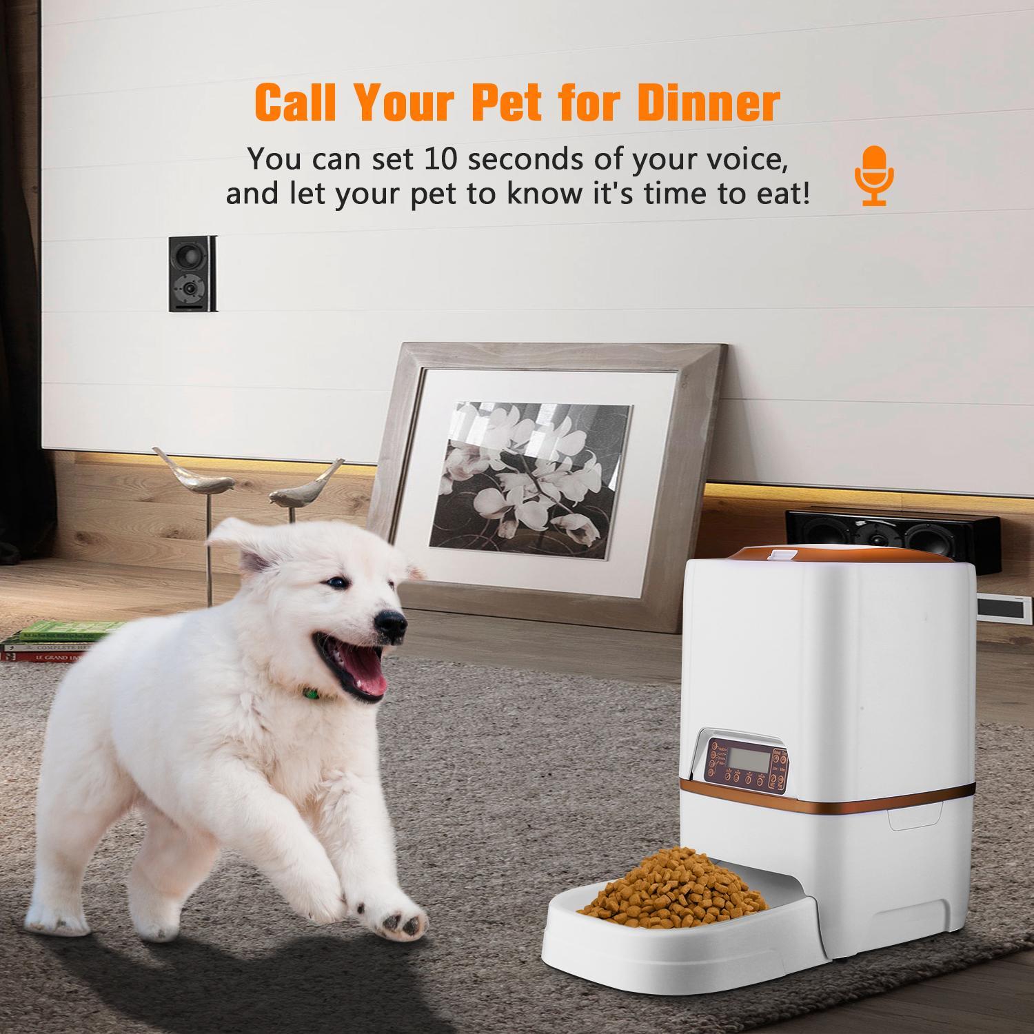 cat food timer dispenser