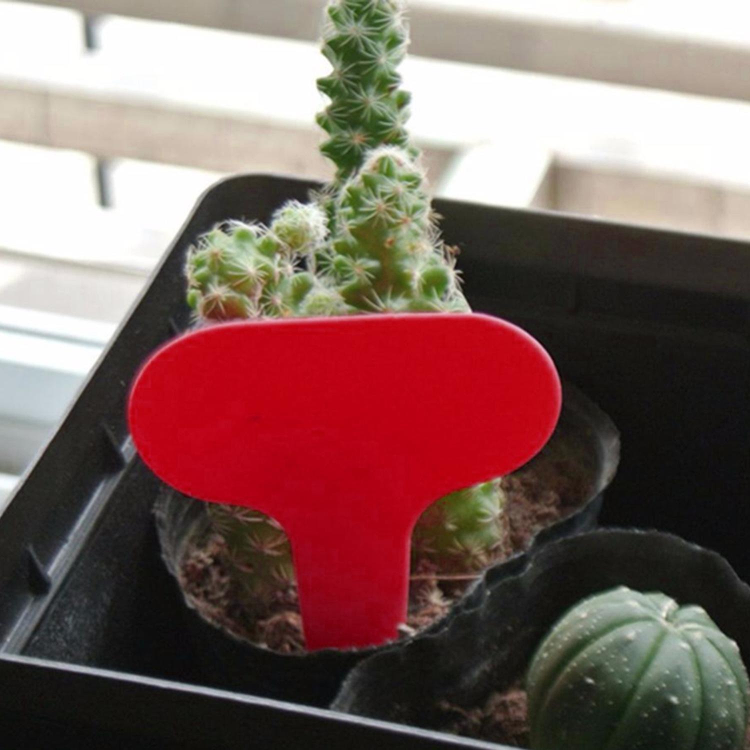 Kiky Nhhn265 Plastic Plant Labels T Type Nursery Garden Markers Kiky Plastic Plant Labels T Type Nursery Garden Markers Reusable Seedling Flower Tags 2