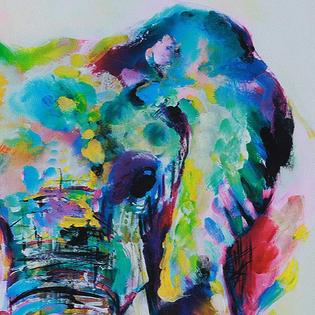 Best Deal Home Wall Art Painting Picture Multicolored Elephant
