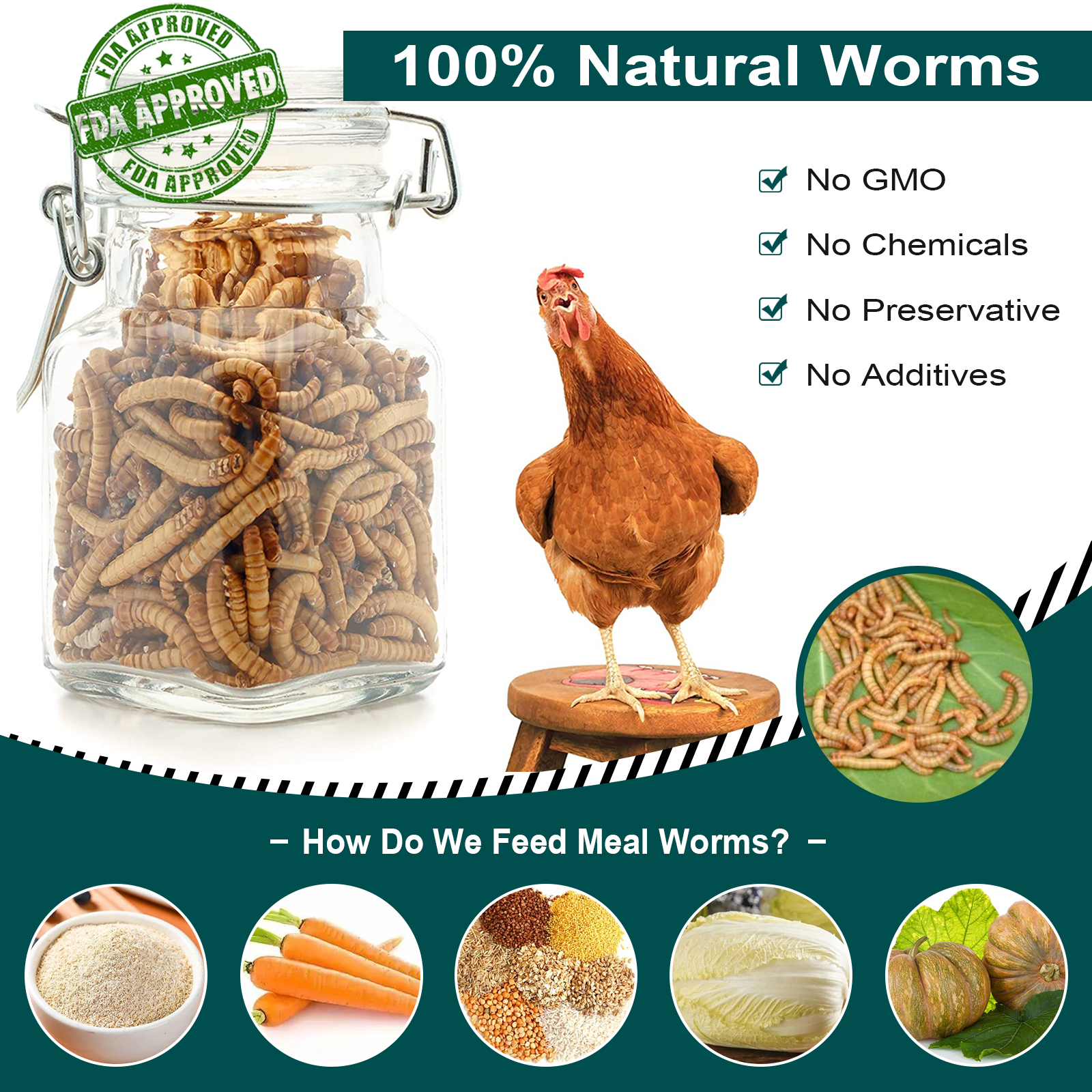 Euchirus 5LB 100% Natural Non-GMO Dried High Protein Mealworms Treats for Chickens - Hens treats Food , Wild birds Treats