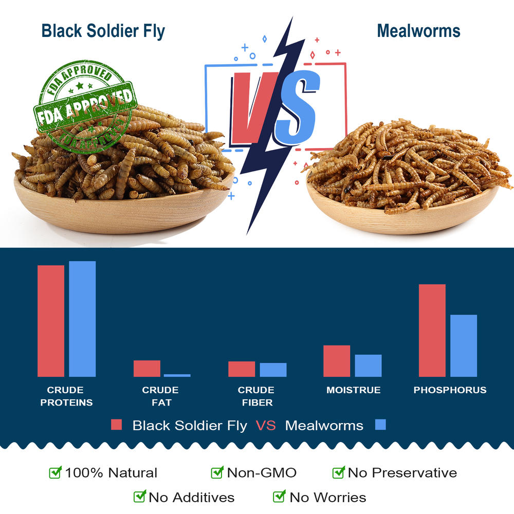 Euchirus 10LB Black Soldier Fly Larvae Treats for Chickens - Hens treats Food , Wild birds Treats, Non-GMO Dried 
