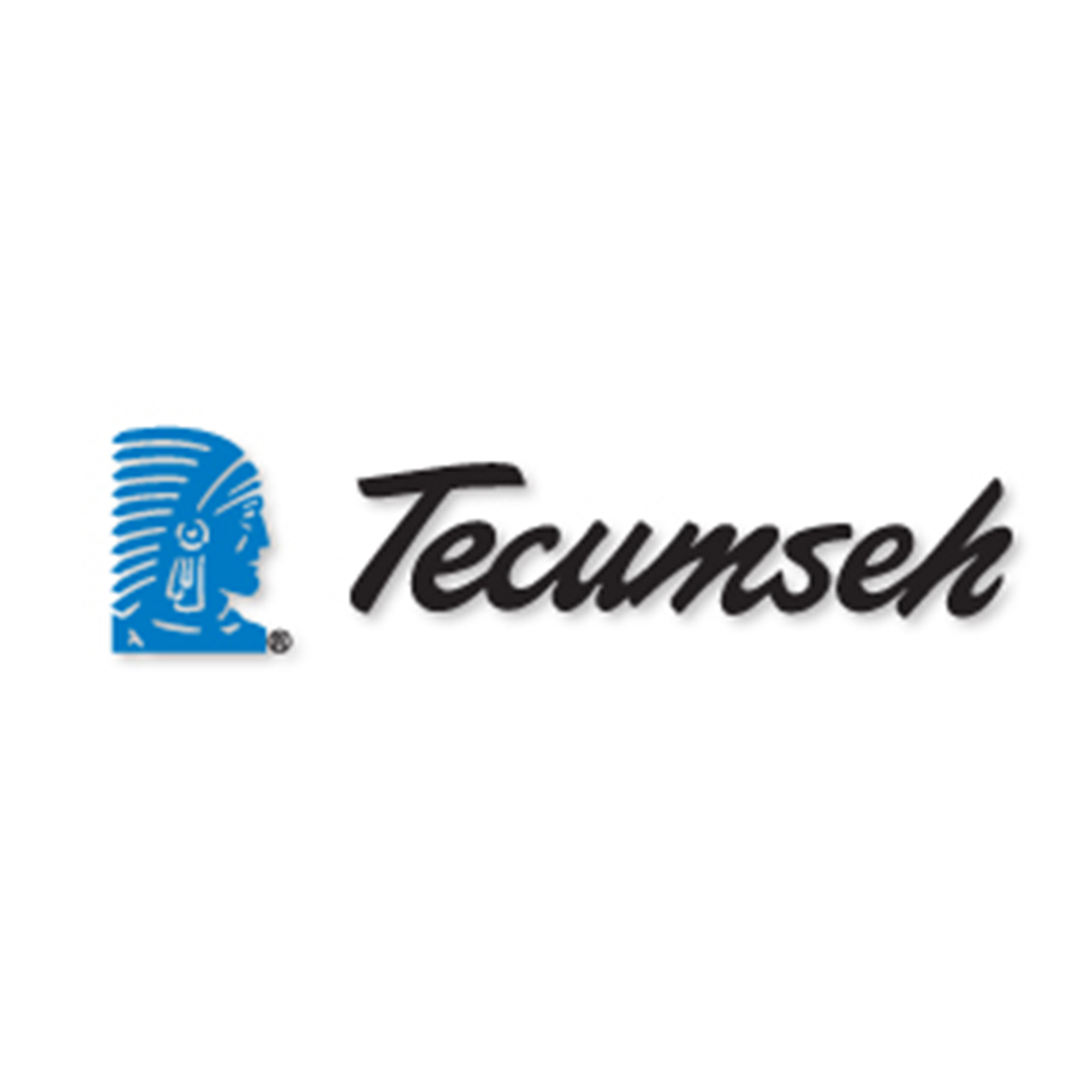 Tecumseh 590679 Retainer Genuine Original Equipment Manufacturer (OEM) Part
