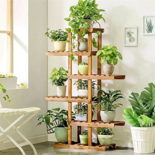 Orchid Plant Stands