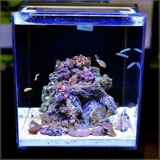 finnex fugeray ultra slim
