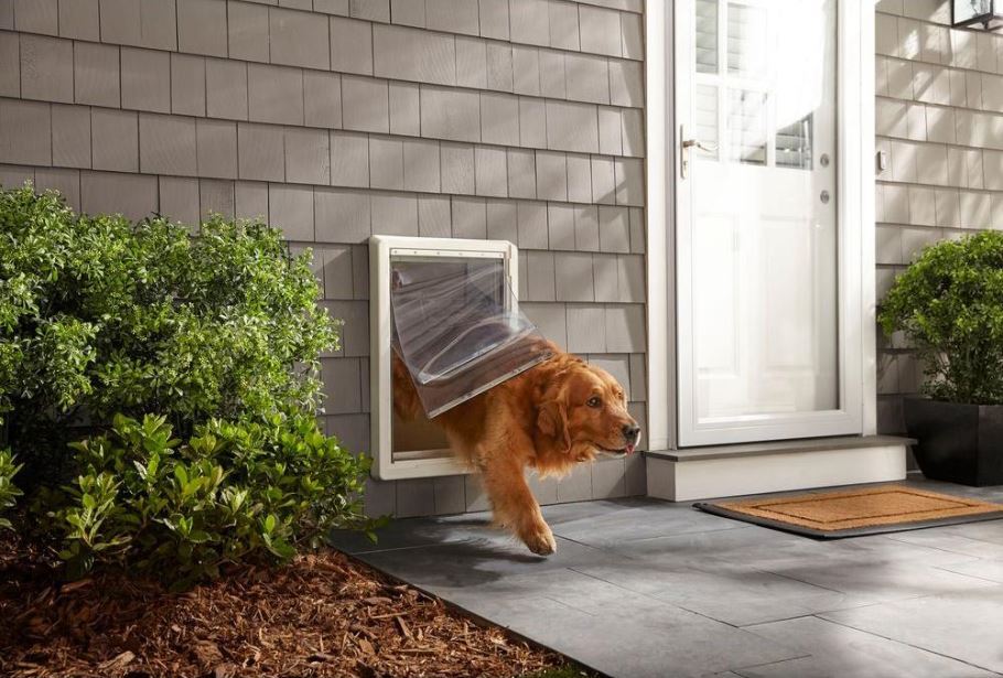 Ideal Pet 15 X23 5 Xxl All Climate Wall Mount Pet Dog Door Non
