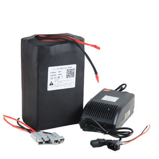 Btrpower Ebike Lithium Battery 48v 30ah Li Ion Ion For 1500watt Motor Scooter Pedicab Pcb