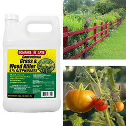 Trimec Lawn Weed Killer Concentrate