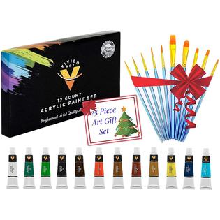 Vivido Acrylic Paint Set Drawing Art Painting Kit Kids Adults Teens Professional Craft