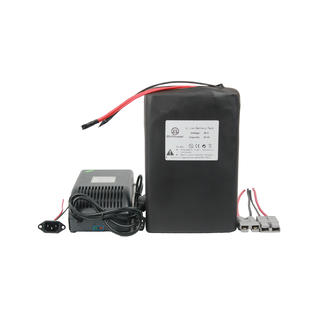 Btrpower 36 Volt 25 Amp Hour Li Ion Lithium E Bike Scooter Battery With Charger Bms 500w