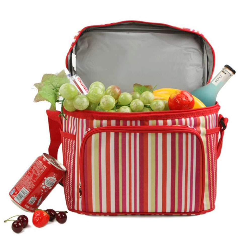 Panda Superstore Picnic Time 12-Can Insulated Cooler Bag Mobile Cooler/Lunch Tote, (29*17*25CM)