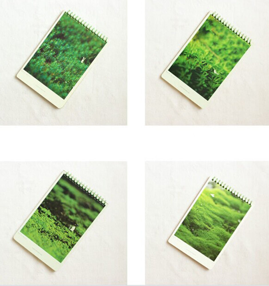 Panda Superstore Creative School Supplies/Set Of 4 Fresh Green Series Subject Notebooks