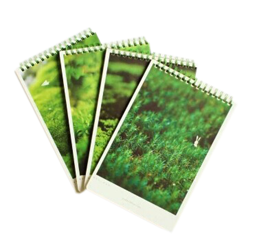 Panda Superstore Creative School Supplies/Set Of 4 Fresh Green Series Subject Notebooks