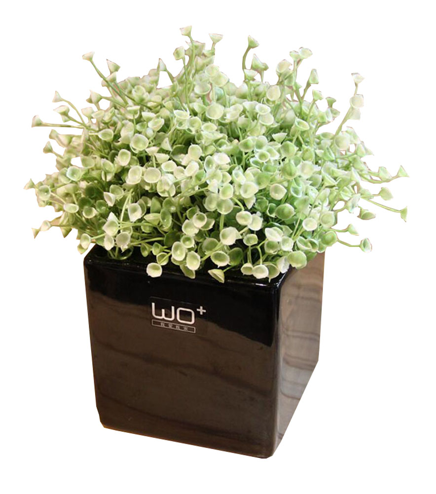 East Majik Live House Plants Sears East Majik Plastic Artificial Plants In Pot For Home Decor