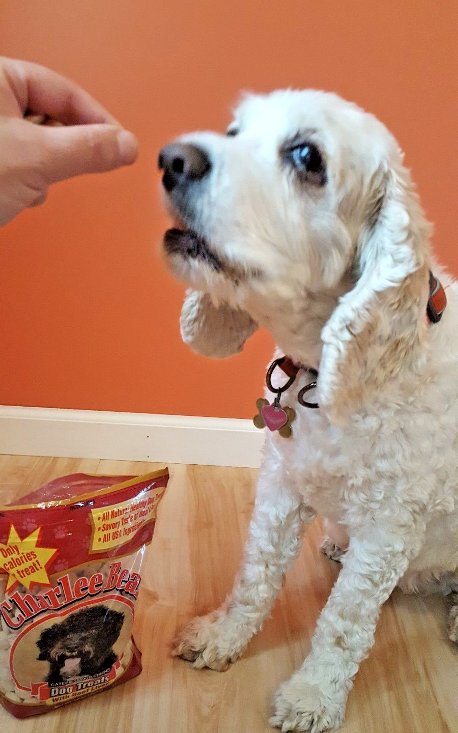 Charlee Bear Dog Treats With Beef Liver All Usa Ingredients 16oz 453g 1 Bag