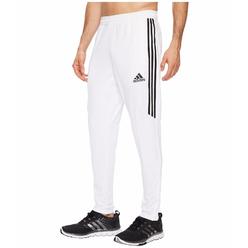 Size L Clothing Sears