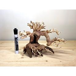 Bonsai Driftwood Aquarium Decor Sears