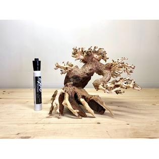 Small Bonsai Driftwood Tree For Aquarium Aquascape Plant Fish Shrimp Tank