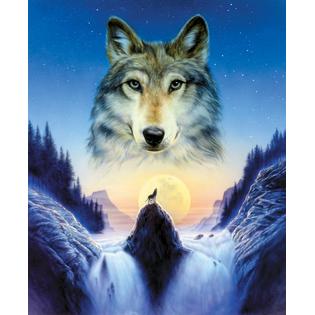 posterazzi cosmic wolf poster