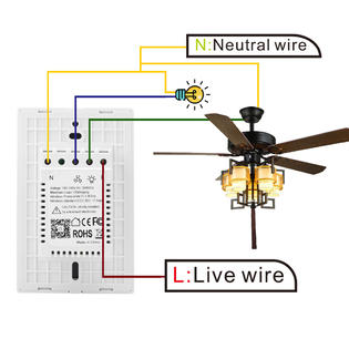 Hiwowsport Smart Wifi Light Fan Wall Switch For Alexa Google