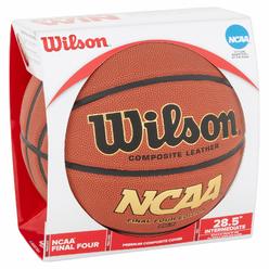 Wilson Basketball Sears