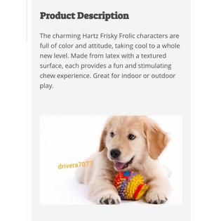 Hartz Frisky Frolic Latex Squeakable Dog Toy Color Varies 1 Count