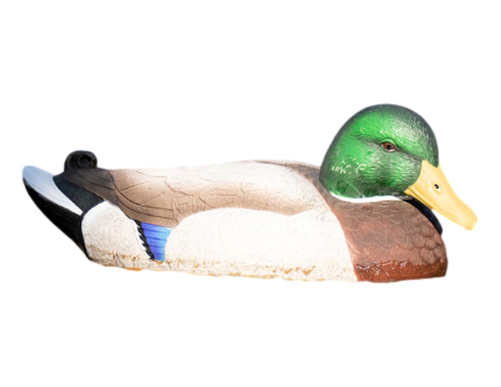 Allure Decoys 16" Oversized Mixed Ducks Flocked Vibrant 6 Pack FLT166F
