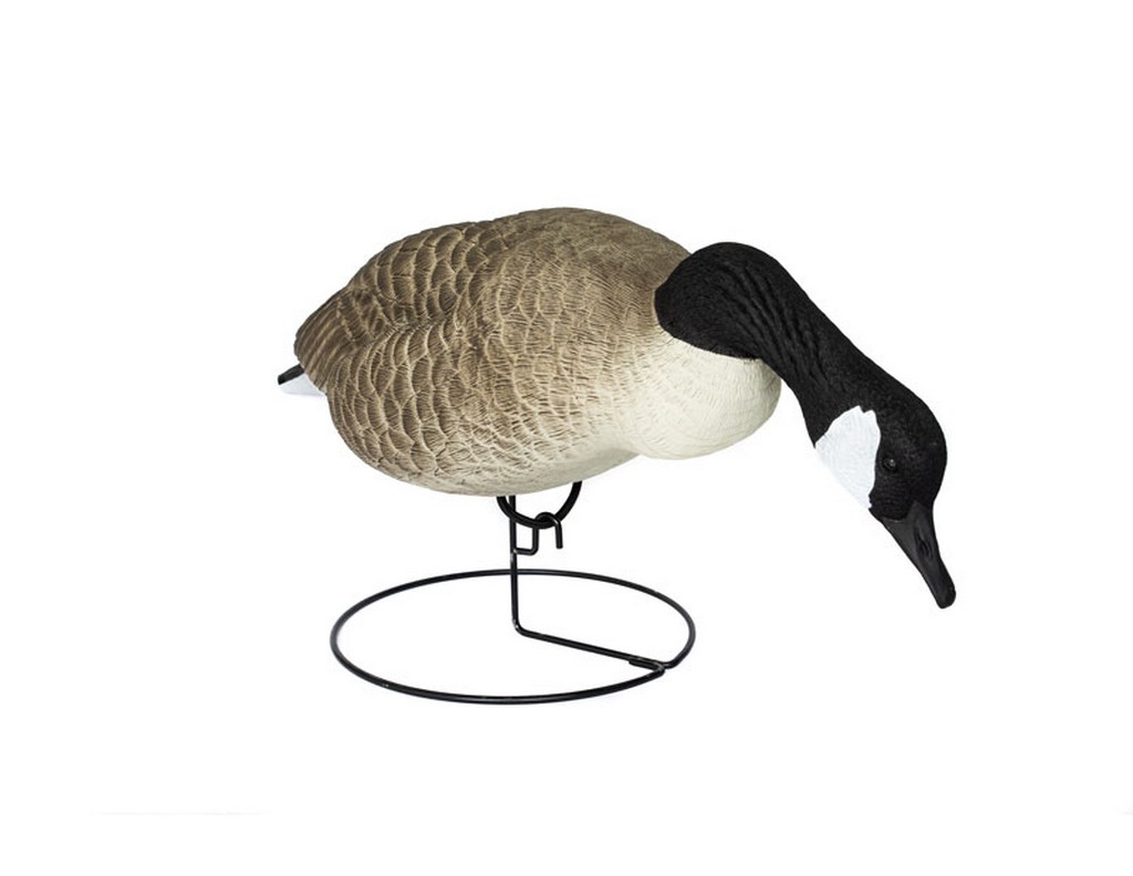 Allure Decoys High Contrast Full Body Canadian Geese 6 Pack CAMX6