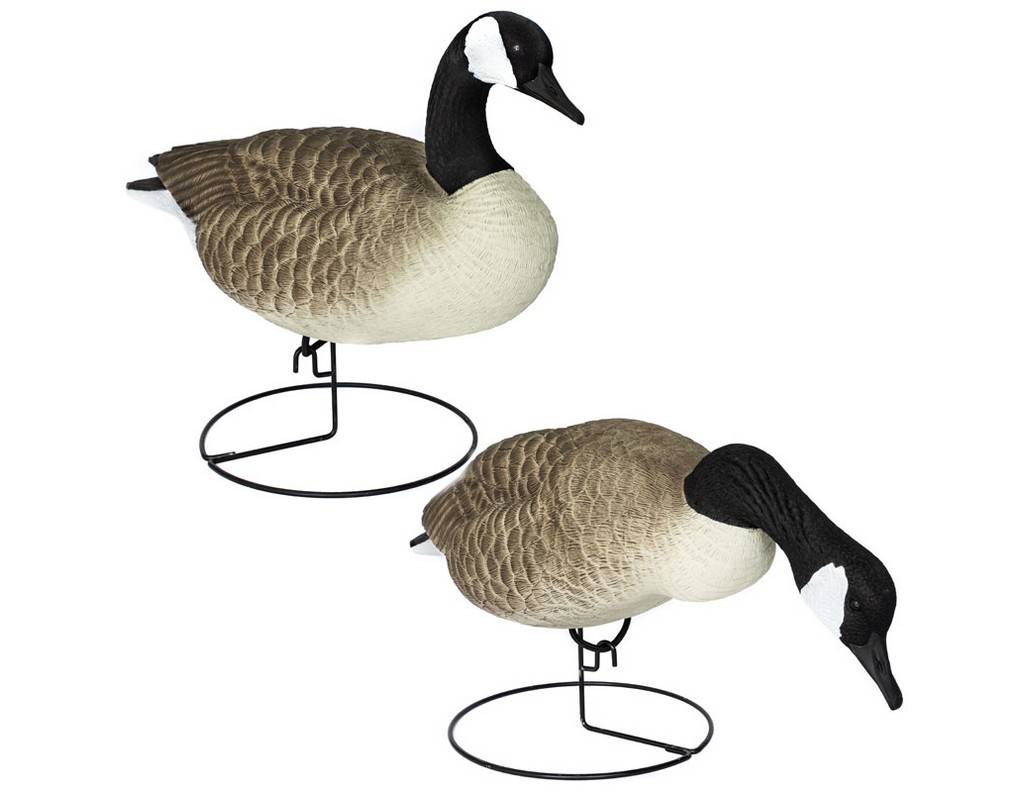 Allure Decoys High Contrast Full Body Canadian Geese 6 Pack CAMX6