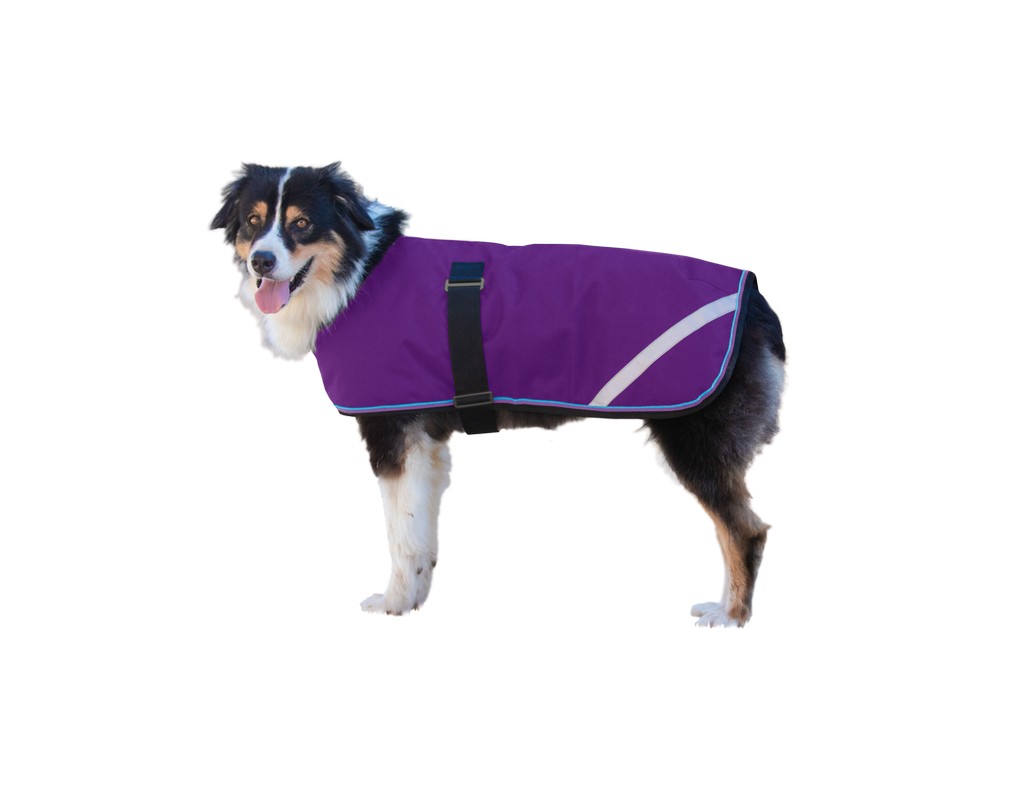 Kensington Dog Coat Standard 180g Insulation Warm Protection 2SC