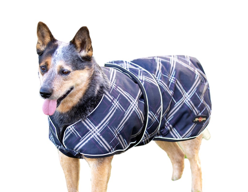 Kensington Dog Coat Chest Guard 180g Insulated Protection 3SC