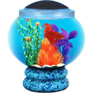 general tires 1 6 gallon fish bowl led