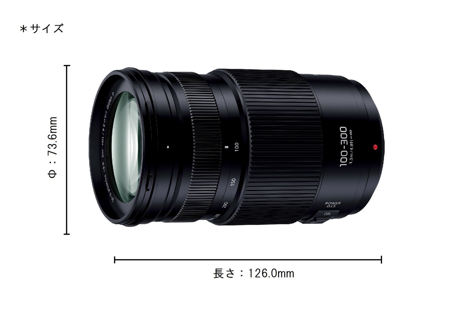 Panasonic Lumix G Vario 100 300mm F4 0 5 6 Ii H Fsa Lens Japan Model New Panasonic Lumix G Vario 100 300mm F4 0 5 6 Ii H Fsa Lens Japan Model New