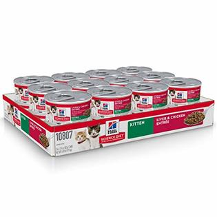 Hill S Science Diet Wet Cat Food Kitten Savory Salmon Recipe