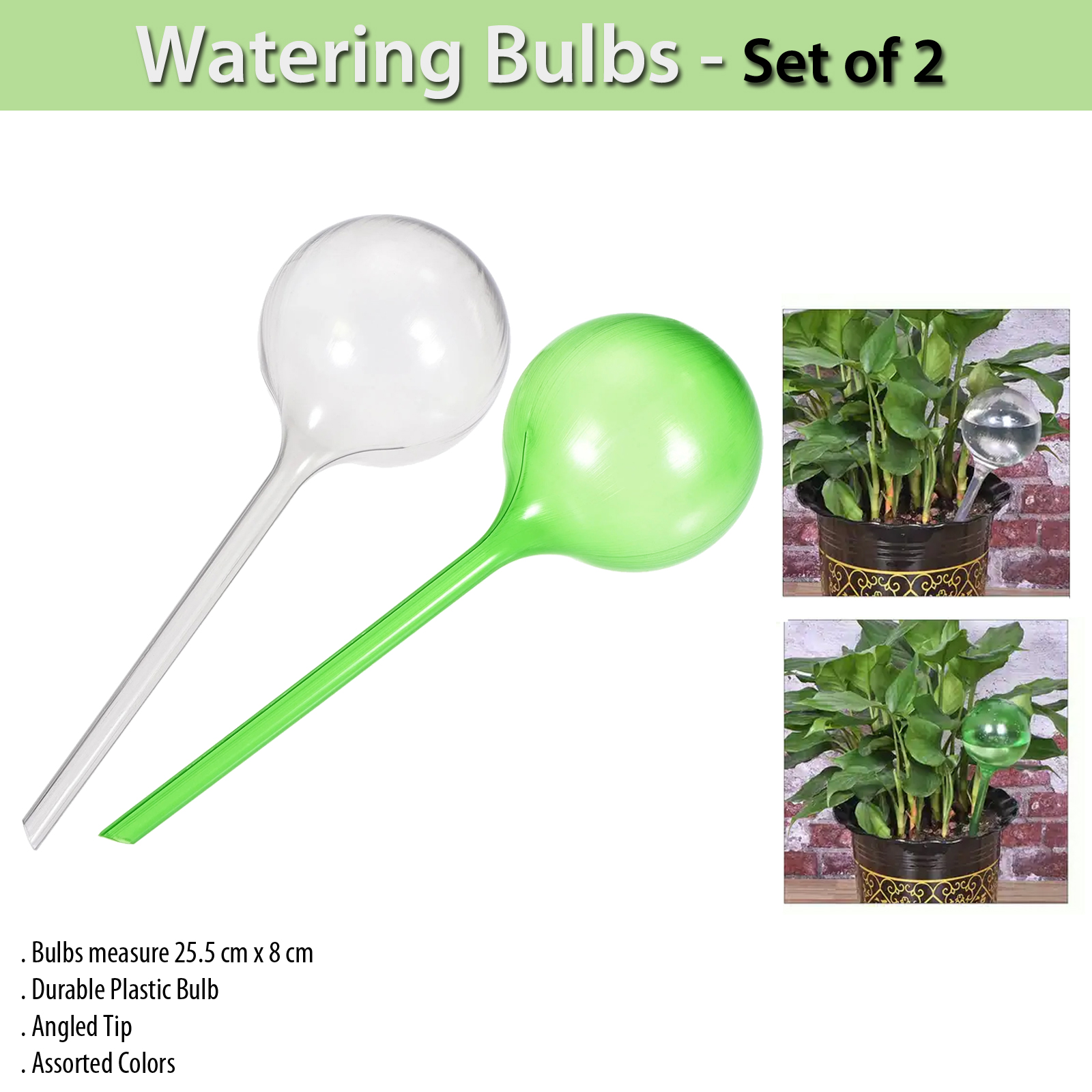 Watering Bulbs - Set of 2