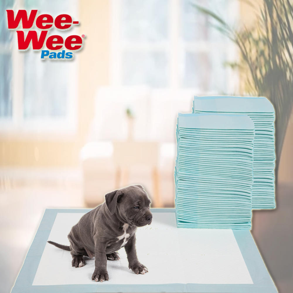 Wee Wee Pads Four Paws DELUXE Wee Wee Pads for Standard and Little Dogs, 36 Count