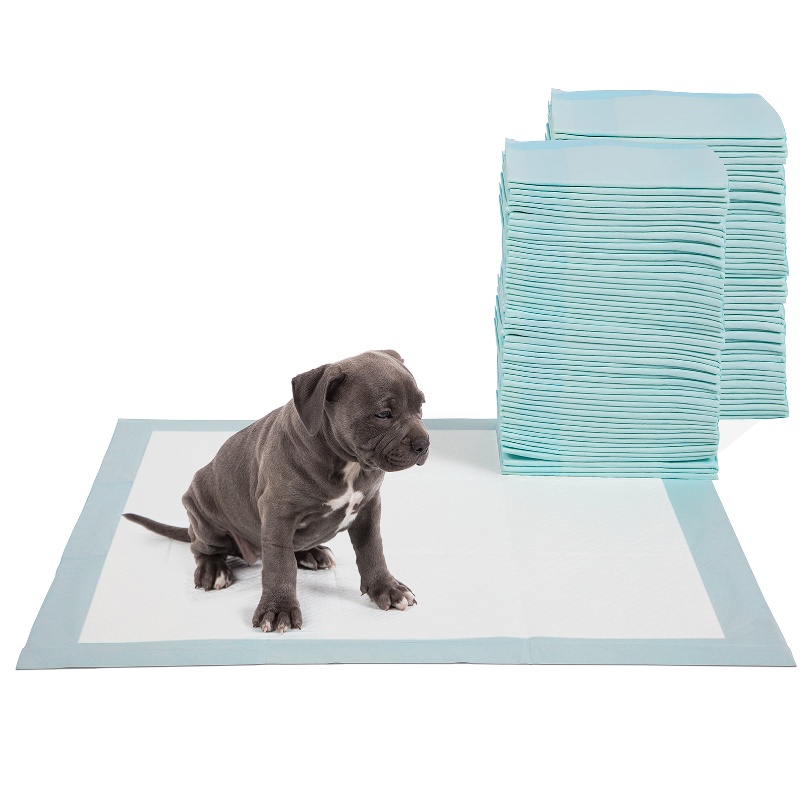 Four Paws DELUXE Wee Wee Pads for Standard and Little Dogs 36 Count