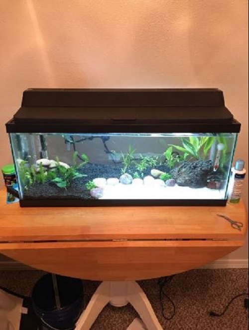 all glass aquariums aquarium hood light