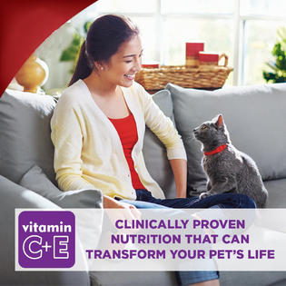 Hill S Science Diet Dry Cat Food Adult 7 For Senior Cats